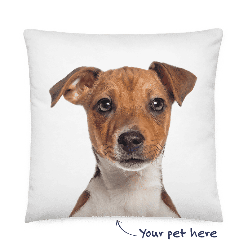 custom-dog-pillow-bg