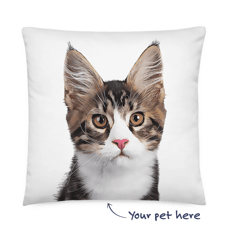 Custom Cat Pillow Background