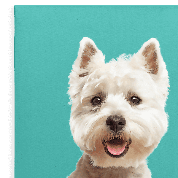 Custom Pet Canvas BG