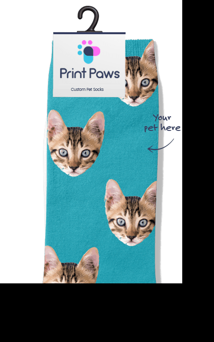 Custom Cat Socks Background